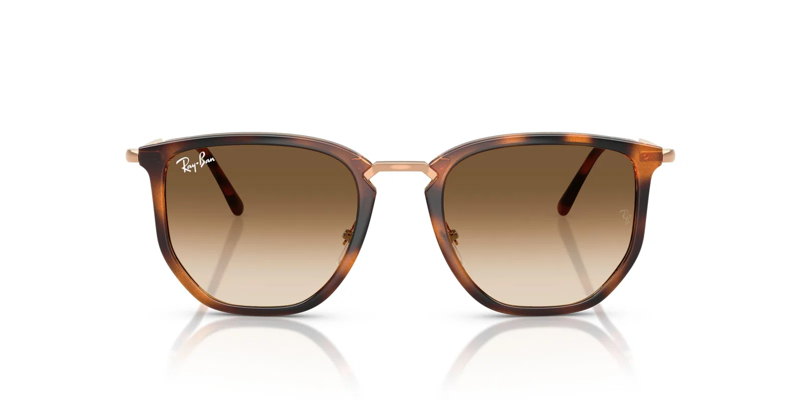 Ray-Ban 4451 Sunglasses - view 18